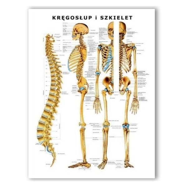 d87e21b15e357df4da50b0585b91b7f5