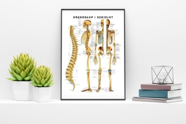 4e6d3b24c8a53b2257b98ee1d8abca67