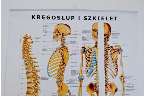 cf6c78dcc346eb37a5a9baa022872ee3