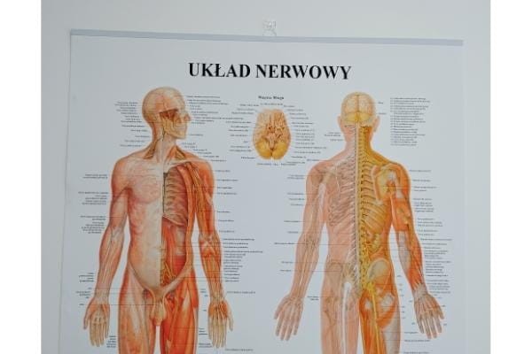 0f84a096ac2b188a36c2de340cdc94fa