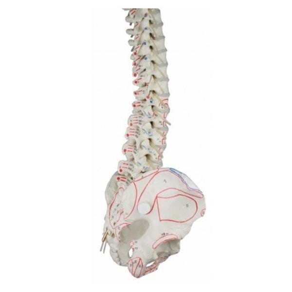 93554544fe34274408f80503e6f54998