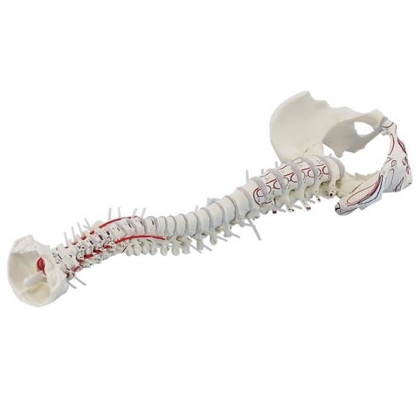 5807f36f16f793d827e2e4493acbd648