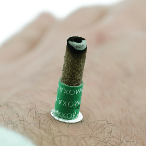 moksa dymna meridius