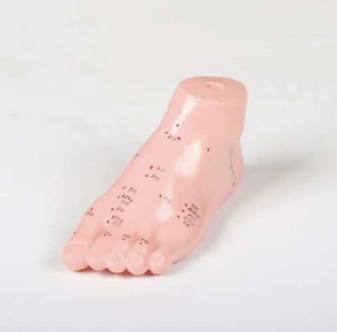 Anatomiczny model stopy w kolorze cielistym – akcesorium edukacyjne z punktami akupresurowymi do ćwiczeń refleksologii i akupunktury