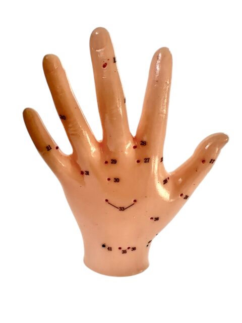 model akupunkturowy dłoni